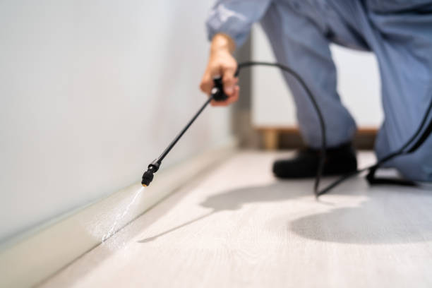 Professional exterminator conducting IPM assessment in Fruitland